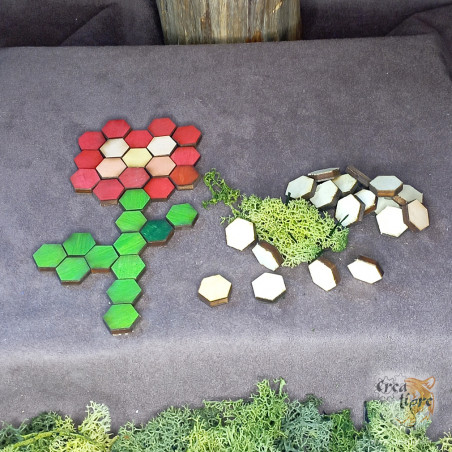 forme hexagonal pour loisir créatif